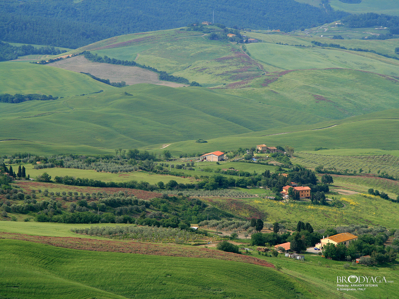 S.Gimignano